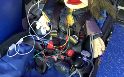 Teddysprechstunde in unserer Praxis – spielerisch die Angst vorm Arztbesuch nehmen
